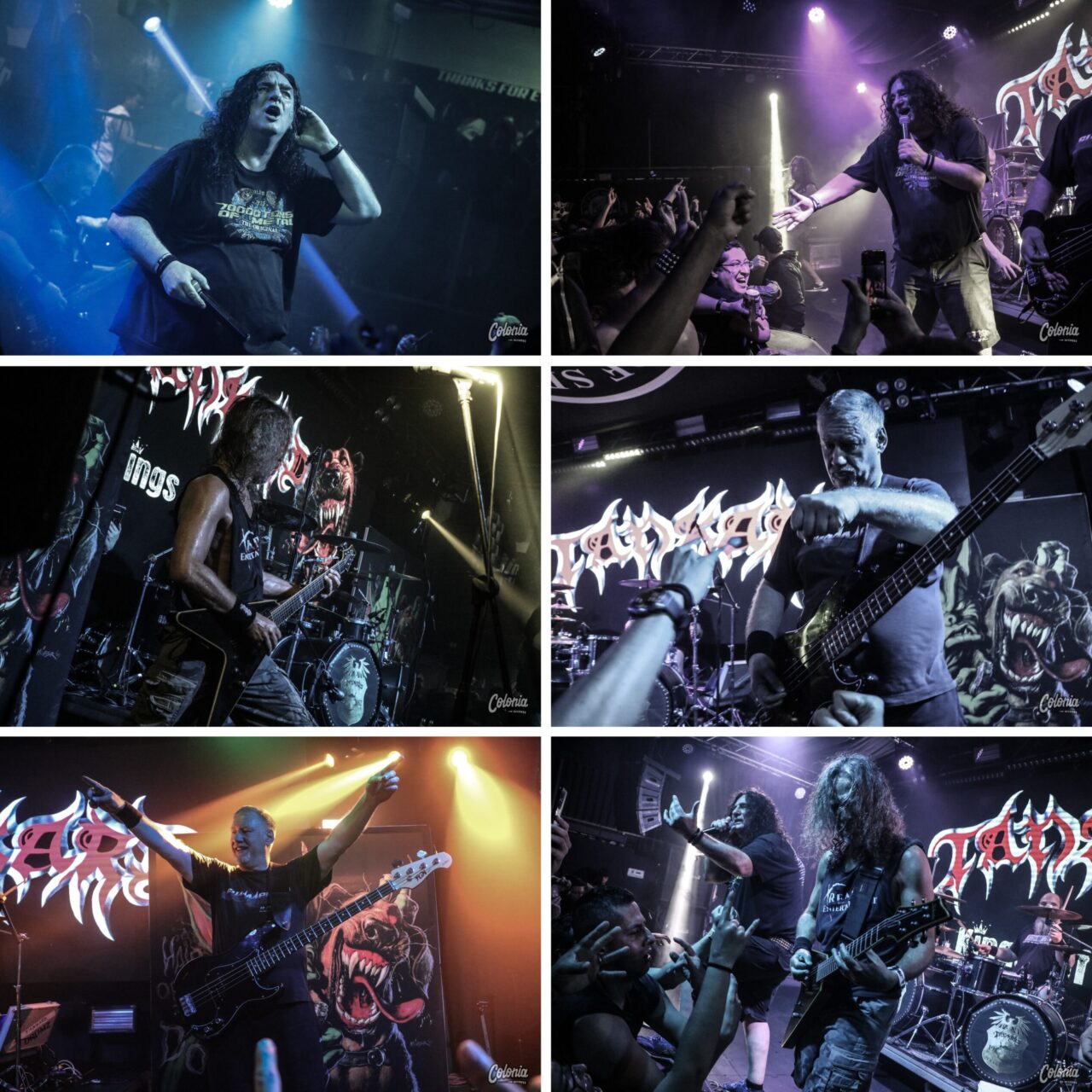 Tankard Tankard