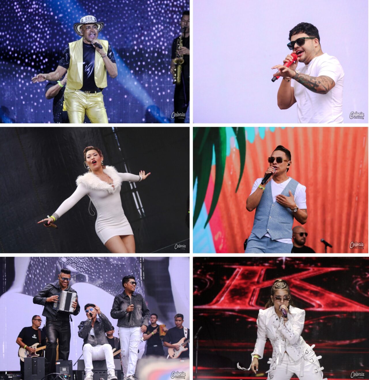 Vallenato al parque dia 2